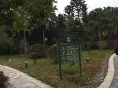 -周公山梦温泉