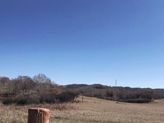-御道口草原森林风景区