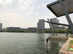 -尚贤河湿地