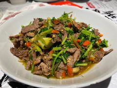 香菜炒牛肉-壹盏灯(蚂蚁工房店)