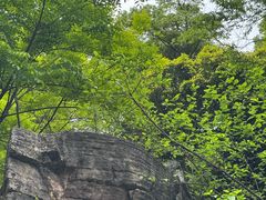 -桃花岭景区