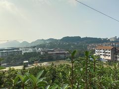-老幺泉水鸡