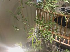-绿茶餐厅(淮安吾悦广场店)