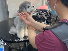 -宠福鑫康馨动物医院·骨科·眼科