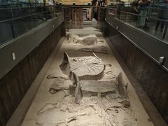 -北京大葆台遗址博物馆