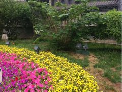 iphone_upload_pic-卫鼎轩·曹公馆(鼓楼店)