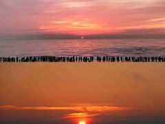 -巧克力渔家.小船海鲜胶东菜(万平口店)