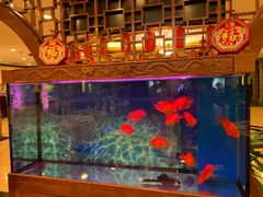 -上海老饭店(北京分店)