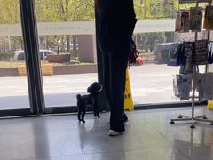 -中农国际动物医院24小时·猫科·骨科·急重症中心
