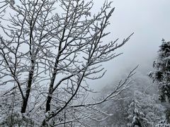 -九峰山