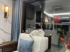 -瑞派·爱瑞可动物医院·口腔专科(广华新城分院)