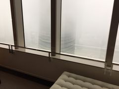 -上海柏悦酒店