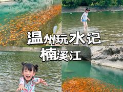 -楠溪江风景名胜区