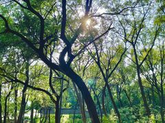 -禅宗少林·音乐大典