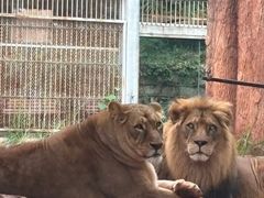 -昆明动物园