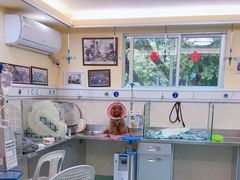 -动物缘宠物医院·骨科·猫科(西二环店)