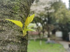 -玄武湖景区-情侣园游乐场