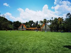 -中国科学院西双版纳热带植物园