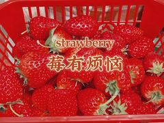 -祥源·阜阳生态乐园