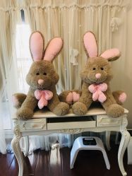 -美肤盾祛痘·问题肌头疗管理中心