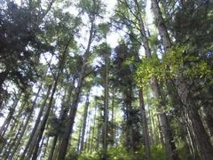 -芦芽山旅游度假区