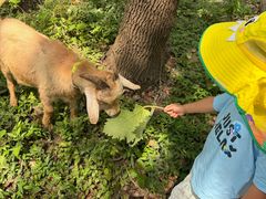 -马陆小张葡萄园农家乐