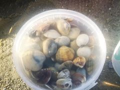 -北海金海湾红树林生态旅游区