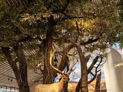 -中国湿地博物馆