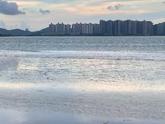 -华侨公园