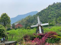 -梦娜斯庄园