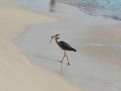 -中央格兰德岛温泉度假酒店 - 全包