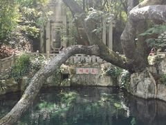 -蝴蝶泉公园