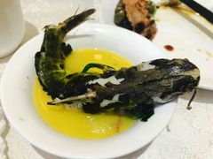 -同庆楼(滨湖万达广场店)