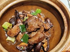 -熠盛粤味·顺德桑拿鸡(永康路店)