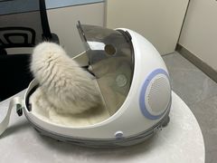 -中农国际动物医院24小时·猫科·骨科·急重症中心
