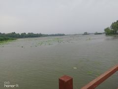 -白洋淀景区