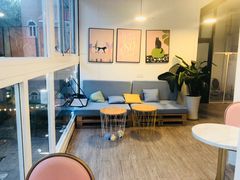 -有猫主题·治愈系猫咖(曾厝垵店)