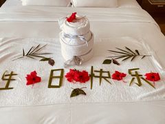 -三亚海棠湾万丽度假酒店