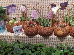 -盒马鲜生(馥邦国际店)