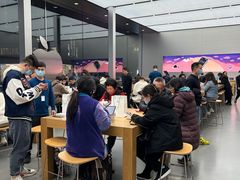 -Apple零售店(成都太古里店)