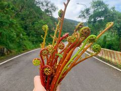 -东部华侨城