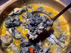 -Darling Queen·Mini·Live·House