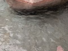-碧水湾温泉