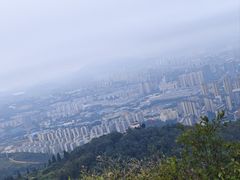 -长虫山生态公园风景林