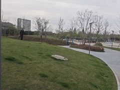 -嘉定紫藤园