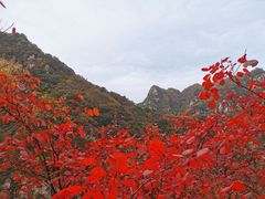 -秦岭风景区