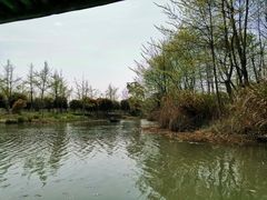 -梁鸿国家湿地公园