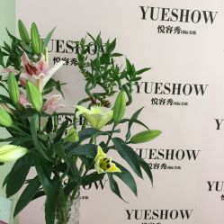 -Yue Show馨选·半永久纹眉纹眼线
