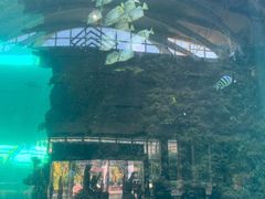 -凤凰轩·尾牙宴·生日宴(十里银滩店)