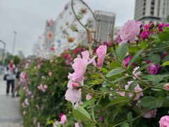 -南京国际青年文化中心
